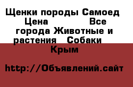 Щенки породы Самоед › Цена ­ 20 000 - Все города Животные и растения » Собаки   . Крым